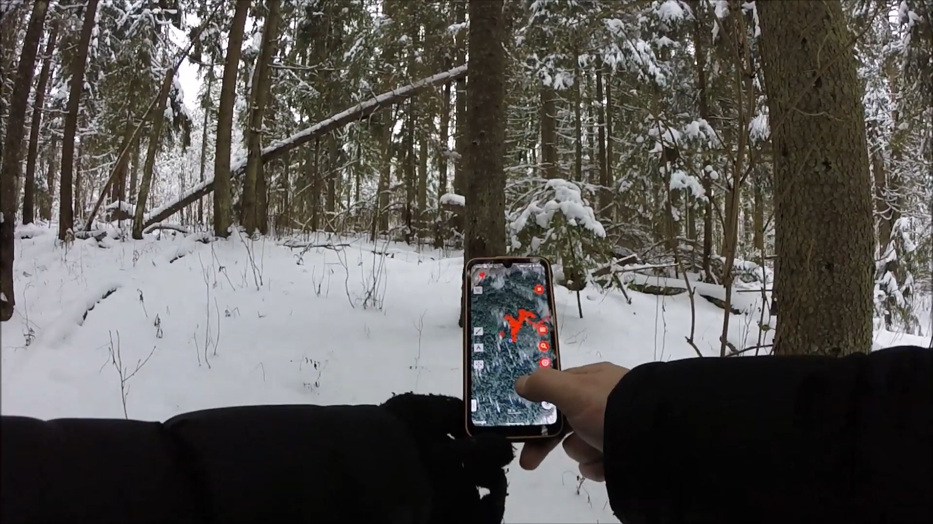 АРХИВ. Нашёл серебро в зимнем лесу! смотреть онлайн