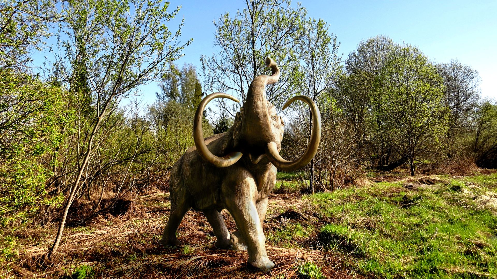 Вот такая весна... смотреть онлайн