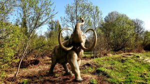 Вот такая весна...