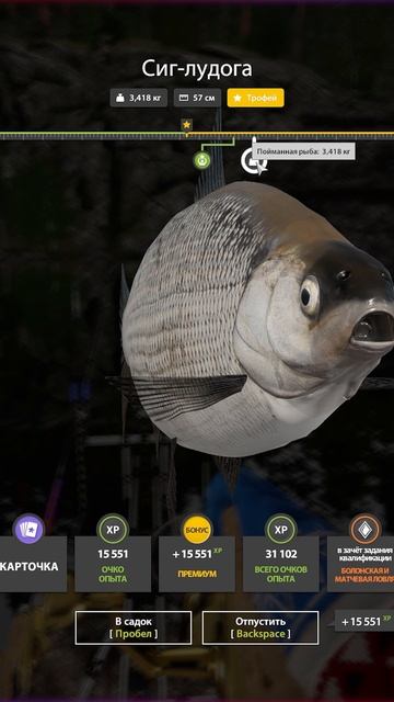 Сиг-лудога трофей на Ладоге #рр4 смотреть онлайн