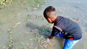 УДИВИТЕЛЬНЫЙ МАЛЬЧИК ЛОВИТ РЫБУ РУКАМИ