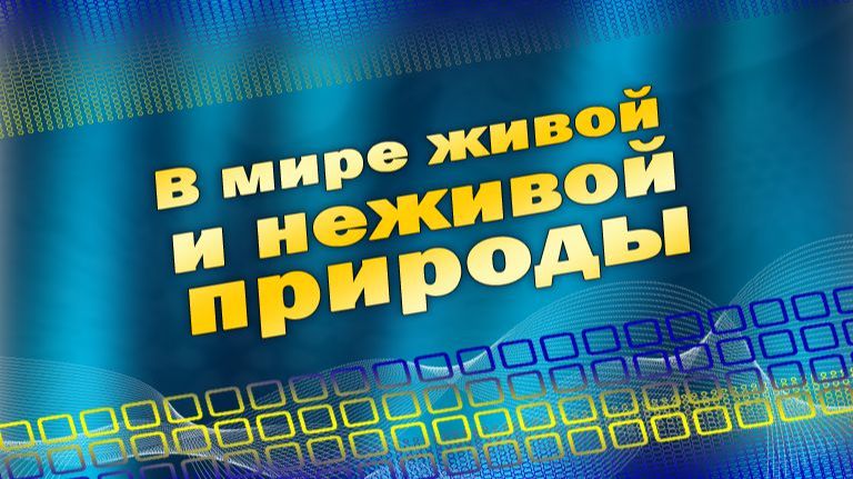 # 9. Строение вещества смотреть онлайн