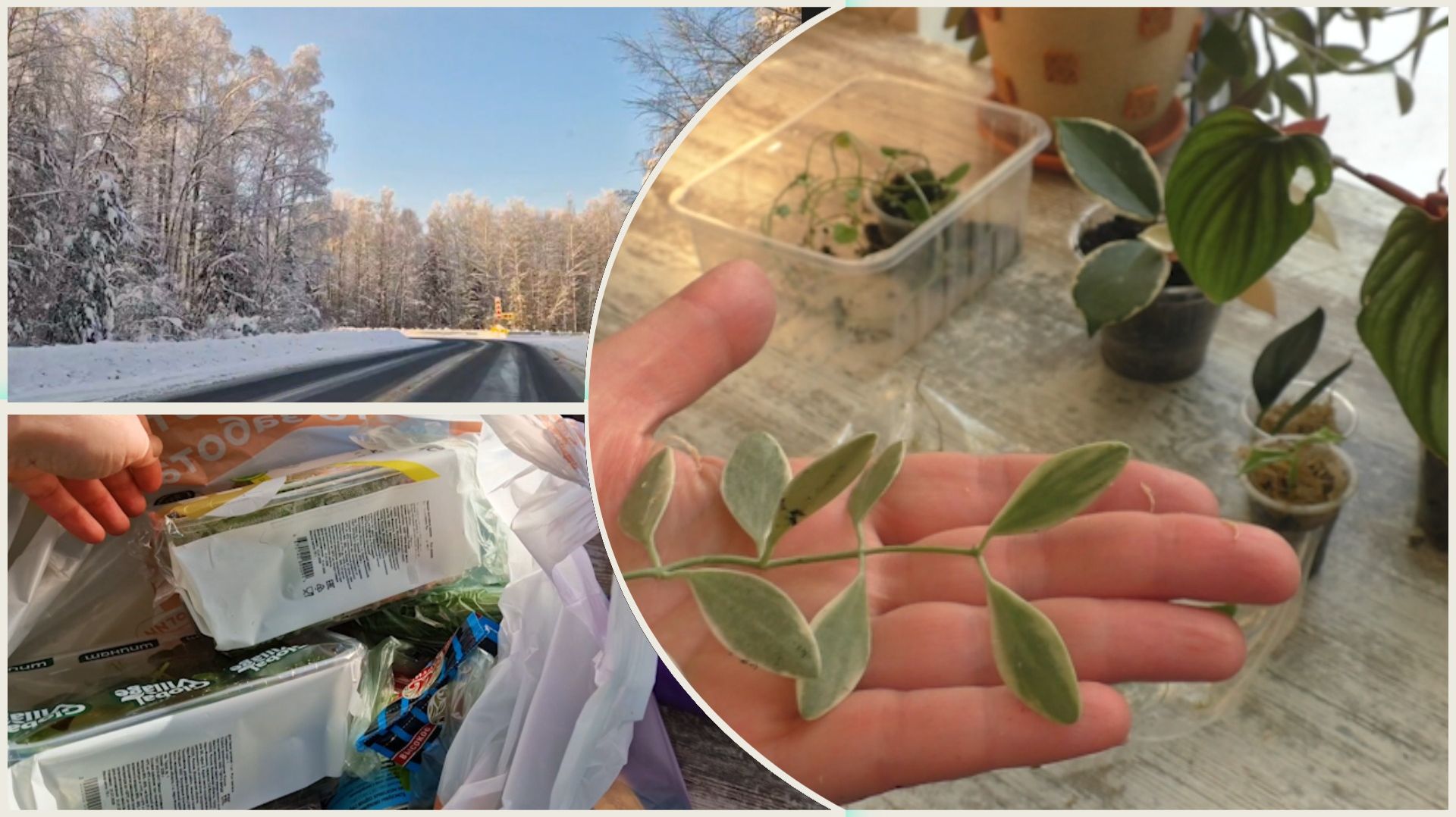 Татьянин день. Покупки. Распаковки. смотреть онлайн