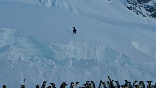 Разума игра смотреть онлайн