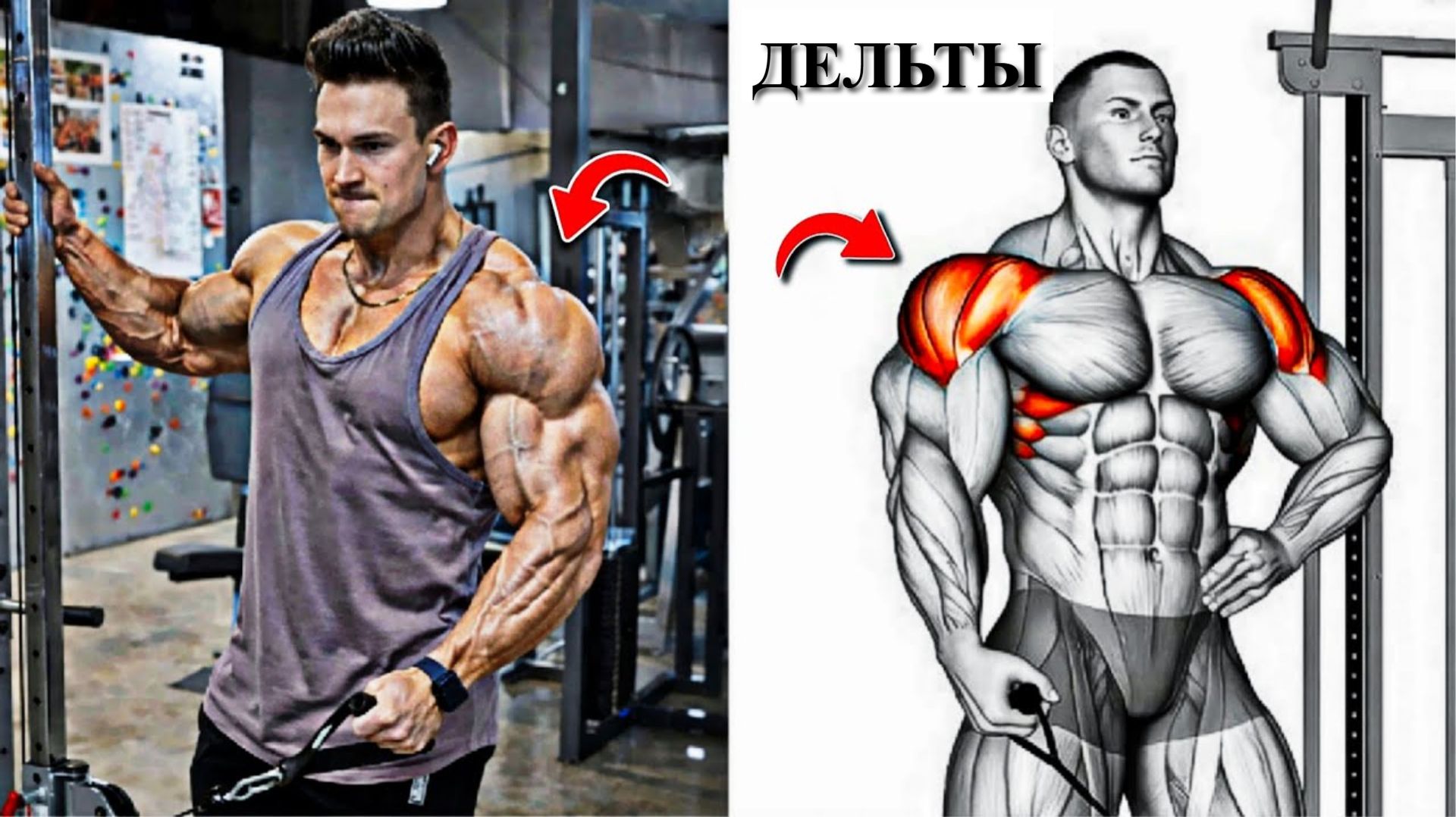 8 Упражнений для Плеч Нового Уровня для Больших Дельтовидных Мышц 💪 смотреть онлайн