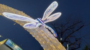 Стрекозы парят над Александровским бульваром | Любимый Краснодар | #мирувлечений