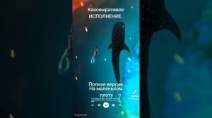 video_11007189259532.mp4