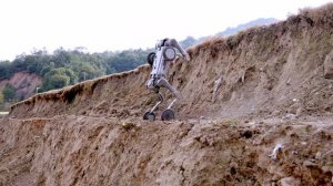 9d0d157298534d2ebabb39765f8bce18