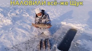 Наловилии всë-же ЩУКИ