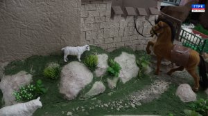 КНВ на кумыкском языке 29.01.26 г.