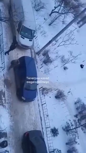 Мобилизация в Днепре смотреть онлайн