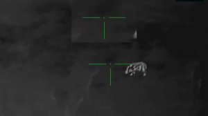 ночная охота