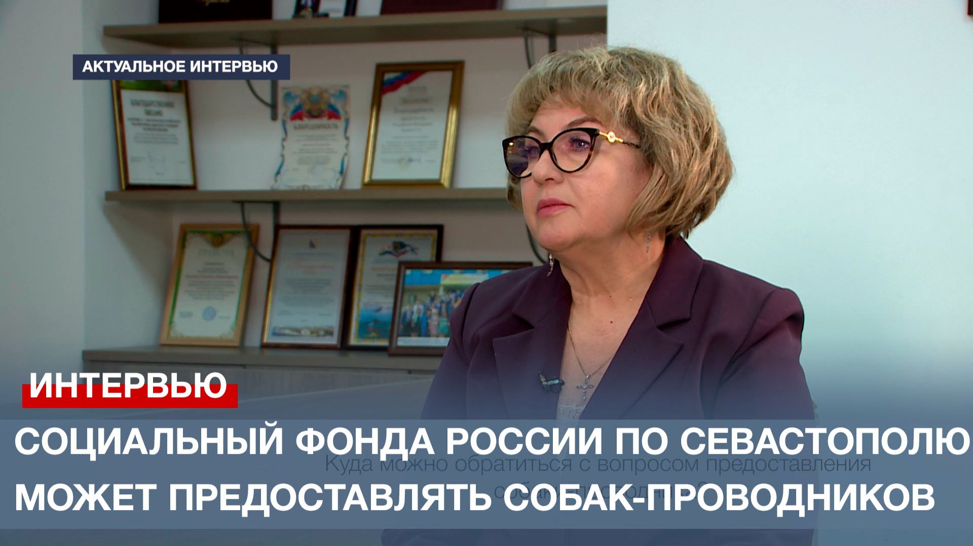 Людям с инвалидностью по зрению Социальный фонда России может предоставлять собак-проводников смотреть онлайн