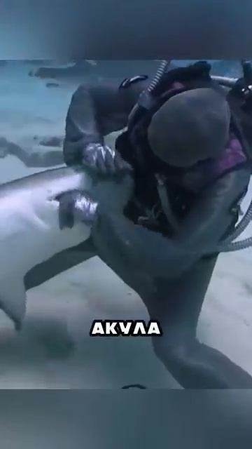 29-01-2026 смотреть онлайн