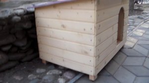 Будка собачья и скворечник в зоомагазине Херсона 2015 Дизайн, исполнение