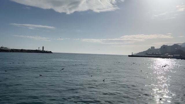 Ялта. Солнечный январь. Набережная и В.И.Ленин. Море. Полный январский релакс. 28.01.26. Крым.Crimea смотреть онлайн