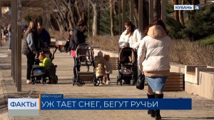 Самый теплый зимний день года фиксируют синоптики на Кубани