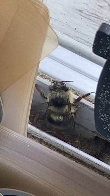 Это я в ожидании пятницы😂 смотреть онлайн