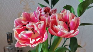 Все как было пока меня не было