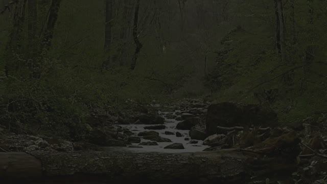 Звуки природы. Природа. Звук ночных птиц у ручья для сна смотреть онлайн