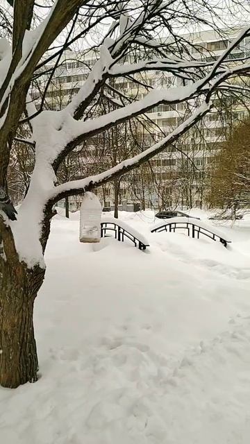 Погода в Москве снегопад январь.