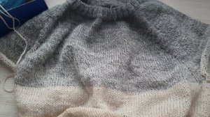 СП "Я свяжу себе за год" // Отчёт января