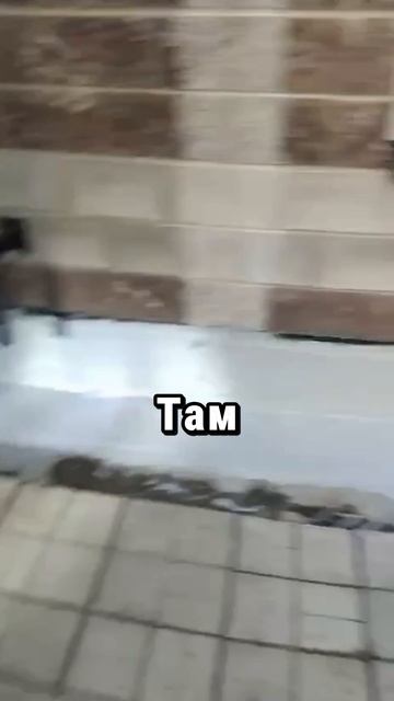 Это не сомнения. смотреть онлайн