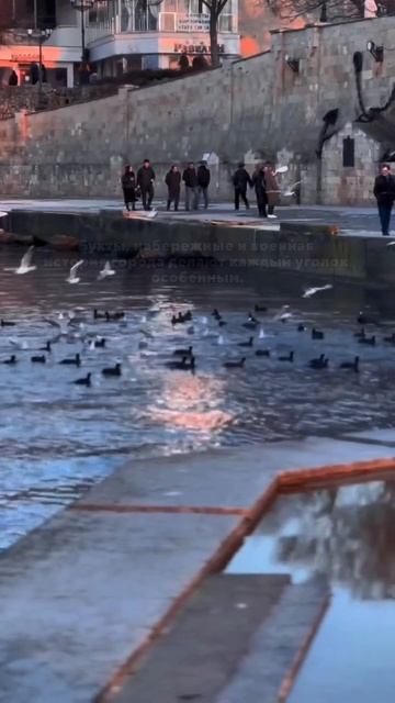 Севастополь — город моря и ветров