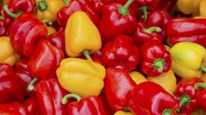 Как быстро получить  семена сладкого перца и сразу их посадить.