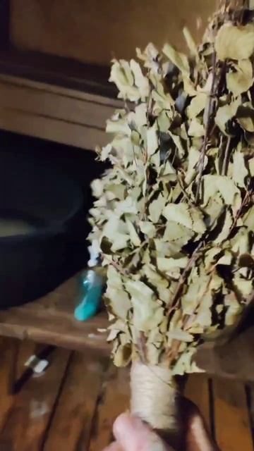 Не понос так золотуха 🤣 Справились 💪банька топиться , Катюша ещё спит 🥰 #непоностакзолотуха #неп смотреть онлайн