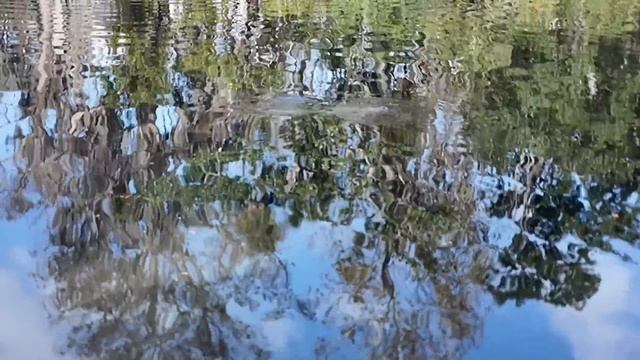 Едем в ГОСТИ к ПОДПИСЧИКУ во Флориде.(Rastorguev 🏡) смотреть онлайн