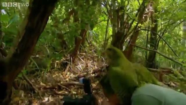 VID_20260129_074749_329.mp4 смотреть онлайн