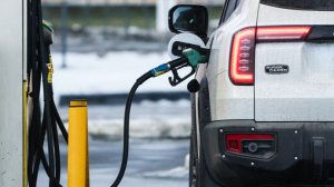 Эксперт Бунина: цены на бензин в России останутся неизменными в ближайшее время