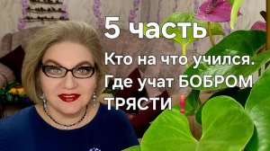 Кто на что учился❗️Где учат БОБРОМ ТРЯСТИ❓️