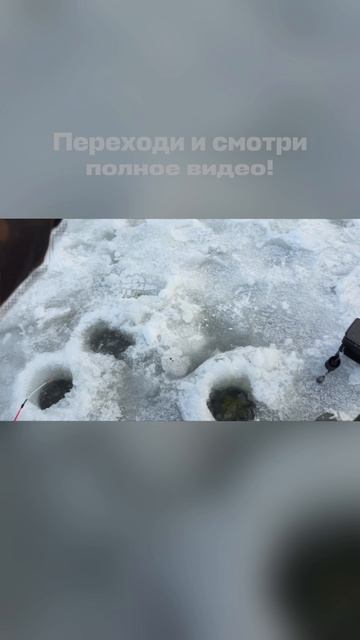 РЫБАЛКА НА МАЛЕНЬКОЙ РЕЧКЕ! ПРОСТАЯ, НО ОЧЕНЬ УЛОВИСТАЯ МОРМЫШКА! 🐟