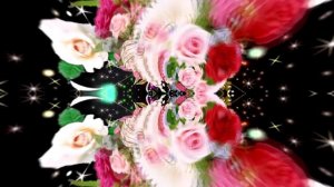 Футажи! Футаж Букеты роз К 4 от Киностудии Мудрого Кота Тимофея!!!