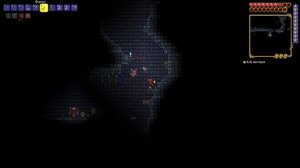 Лутаю подземелье Скелетрона В | Terraria