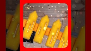 1000047293.mp4 (Собака наблюдает за устройством лестницы на 2 этаж в доме А-фрейм)