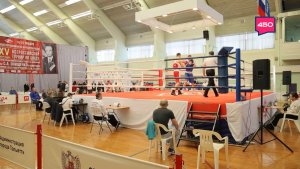 "Гонка чемпионов" и боксерский турнир. Территория Тольятти