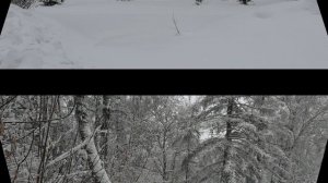 В Кировский р-он ехала. Прогулка по набережной и в парке Берёзовая роща. Кемерово