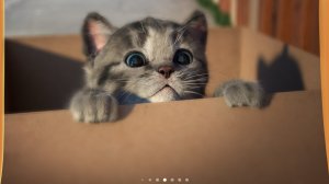 Маленький котенок