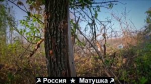 🔴Архивные кадры штурма позиций ВСУ бойцами отдельного штурмового отряда «Русь».🔴