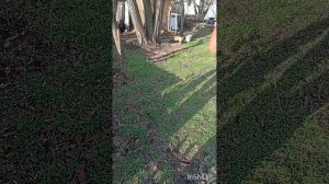 28.01.26 Юг России☺ Зима закончилась! Счастье у животных😍