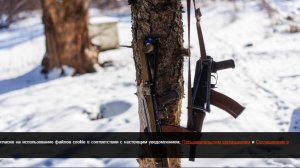 На Западе указали на отчаяние Киева