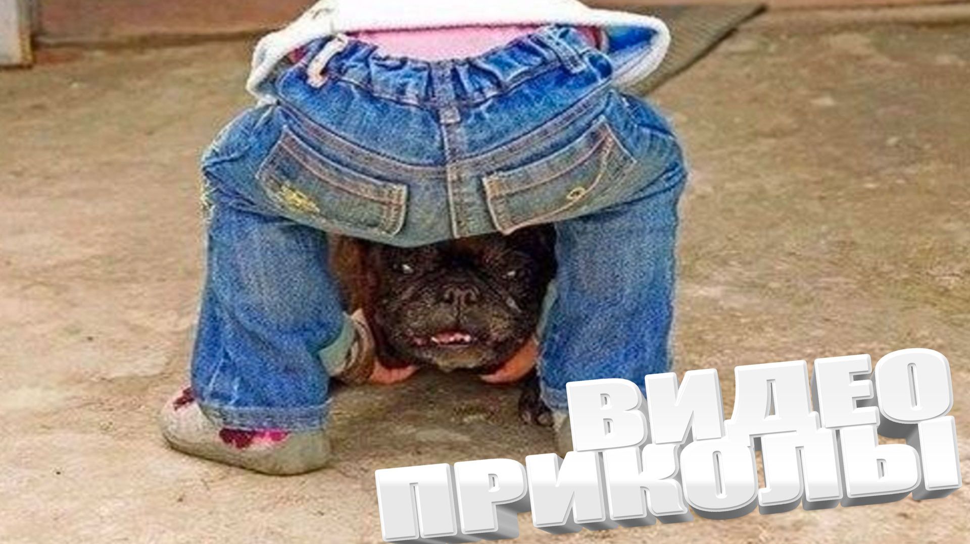 ЛУЧШИЕ ПРИКОЛЫ 2026 | ПРИКОЛЫ 2026 | СВЕЖИЕ ПРИКОЛЫ 2026 | РЖУ НЕ МОГУ | смотреть онлайн