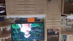 разные типы