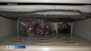 Вести. Красноярск от 29.01.2026