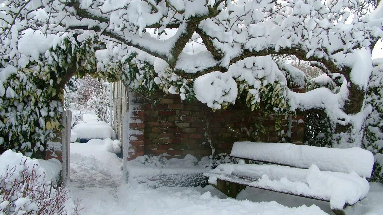Наш заснеженный двор. смотреть онлайн