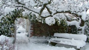 Наш заснеженный двор.