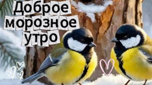 доброе морозное утро пятница открытки